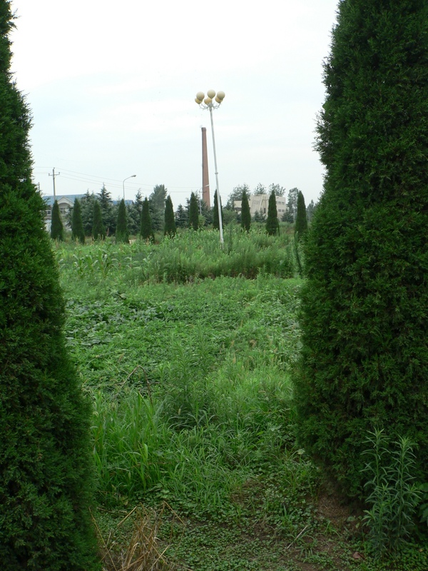 View through the front fence towards the confluence