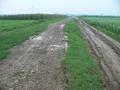 #2: Muddy dirt road, looking south towards Gupei.