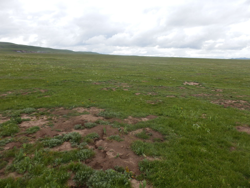 The Confluence from 20 m distance