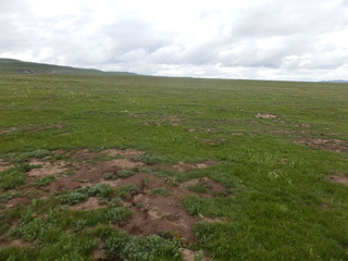 #1: The Confluence from 20 m distance