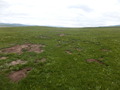 #2: View to the North