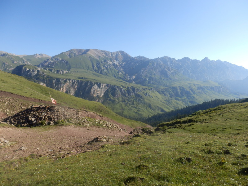 At the edge of the grassland