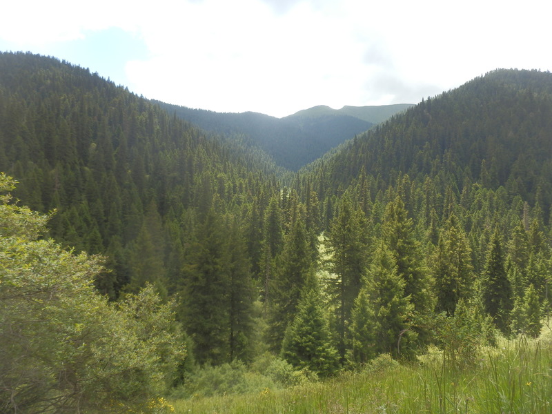 View into the confluence valley from 1.2 km