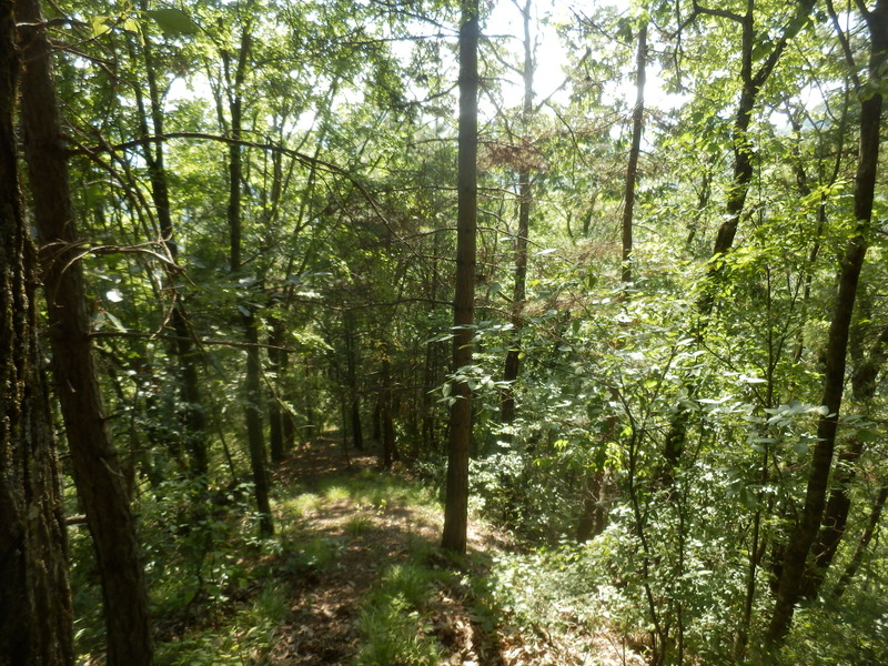 The Confluence from 15 m distance