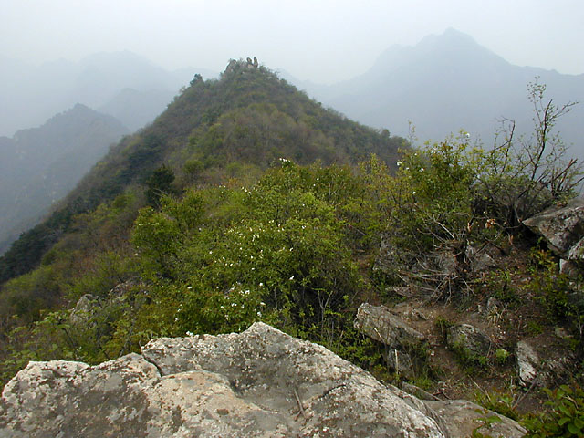 The confluence is very near the top of the hill