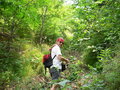 #6: Targ climbing the rocky creek bed up to the confluence