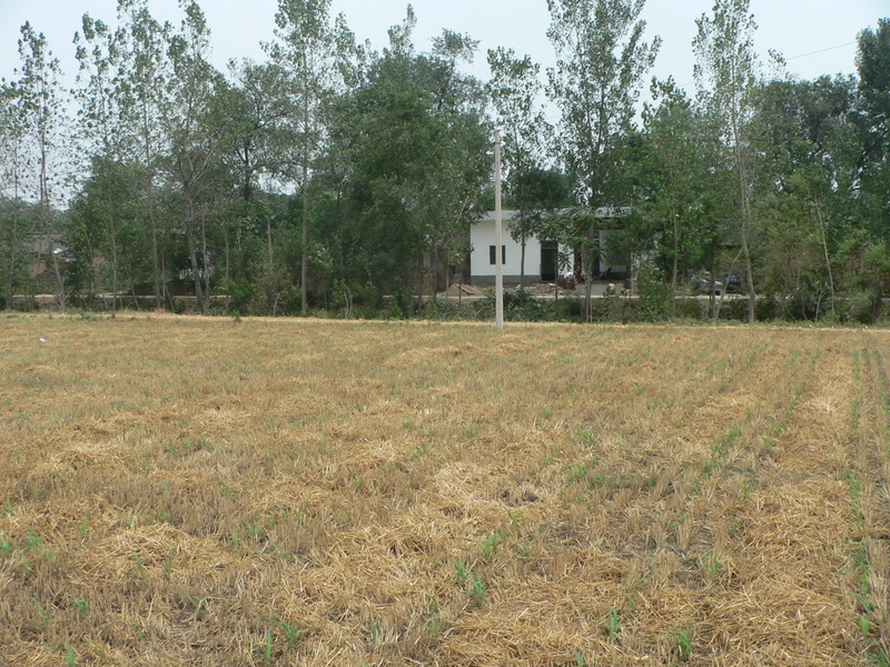 Looking north to Zhāngzhuāng Village