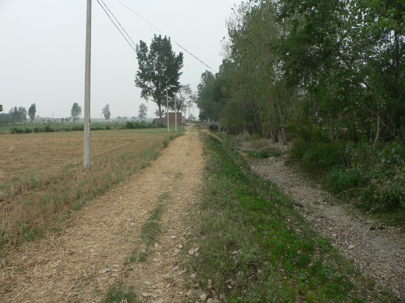 Track and canal, 35 m NE of the confluence