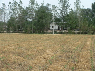 #1: Looking north to Zhāngzhuāng Village