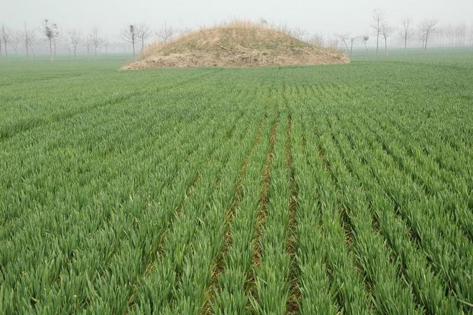 North - Ancient tomb