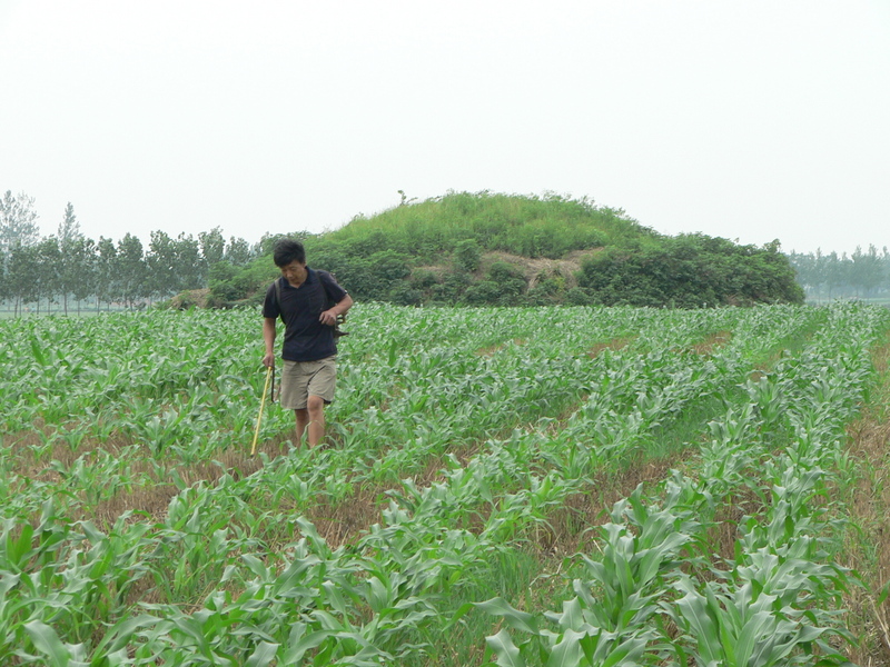 The ancient burial mound, with a farmer busy spraying bug killer in the foreground