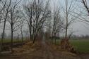 #9: Very muddy road leading to the Confluence Village - 400 meters away
