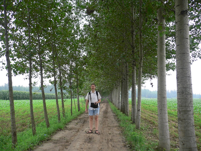 Targ on the tree-lined dirt road that leads into Zhāngzhuāng Village