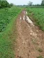 #4: Muddy track.