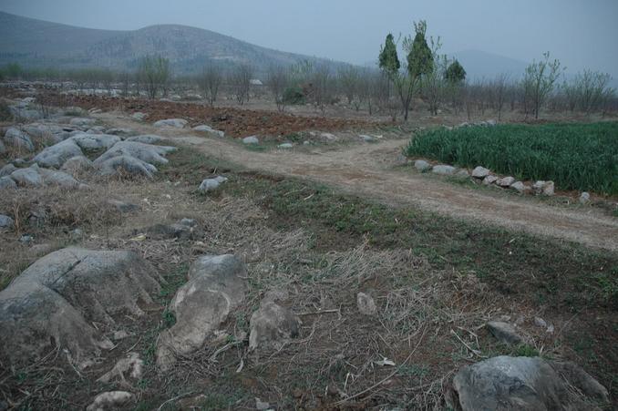 General View - Confluence point 30 meters away in the middle