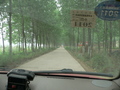 #2: Quiet, tree-lined road to Zhanghang Village
