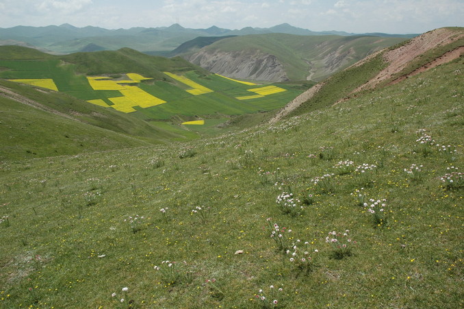 General view and looking toward the south