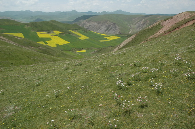 General view and looking toward the south