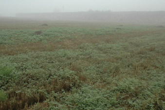 #1: The general view - CP 50 meters away in the center