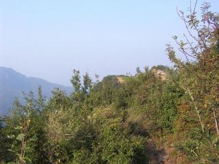 #1: View at confluence (open space), 10 m from the west