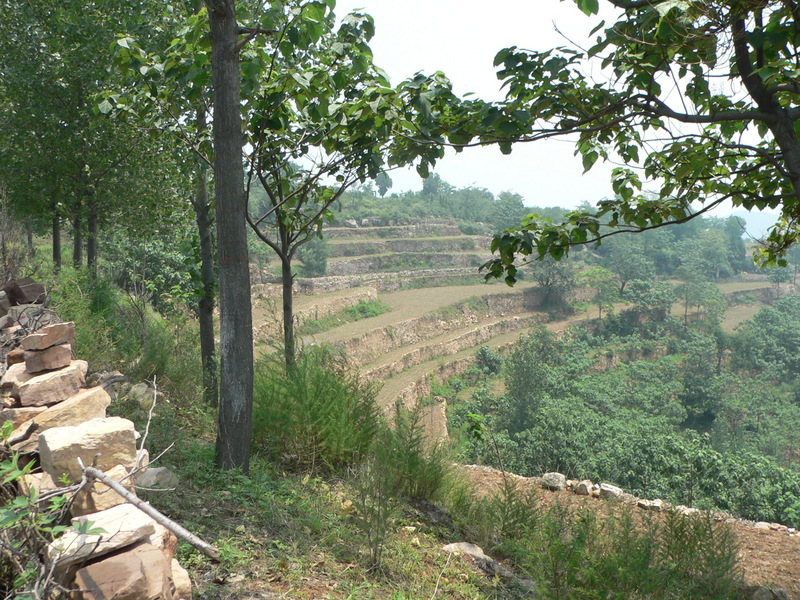 Terraces on the opposite side of the road