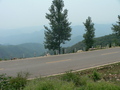 #9: Looking south from the other side of the confluence knoll