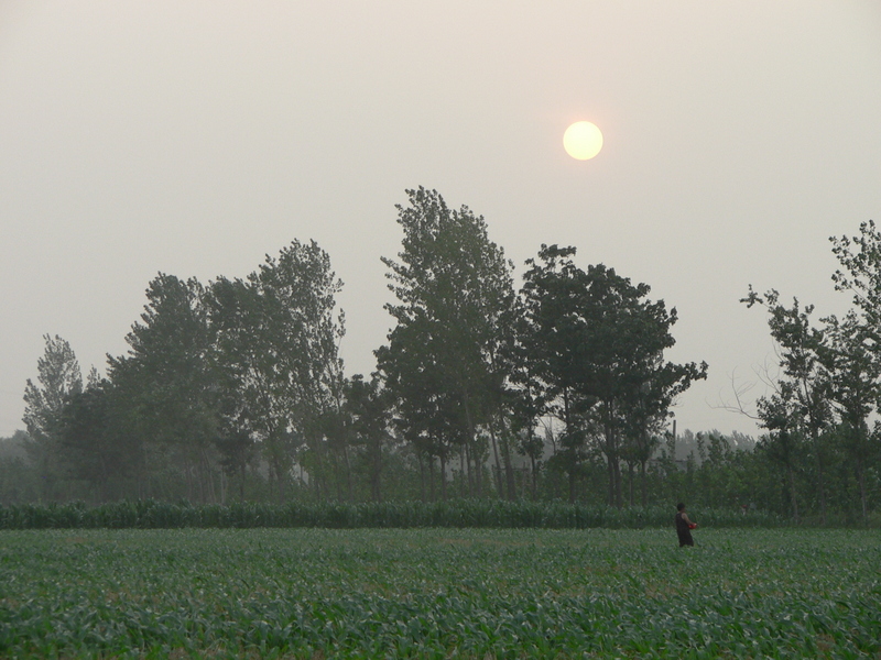 The sun lying low in the western sky