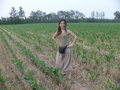 #4: Ah Feng in the confluence cornfield