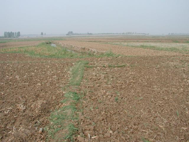 West