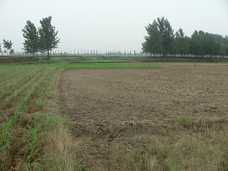 Looking south, where a dirt road runs along the embankment