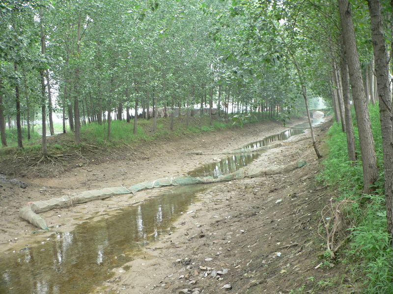 Long, segmented nets in the roadside canal