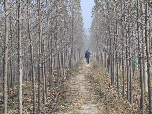 Path on dam