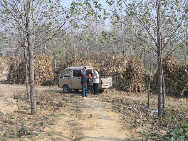 Taxi at Ganggouya