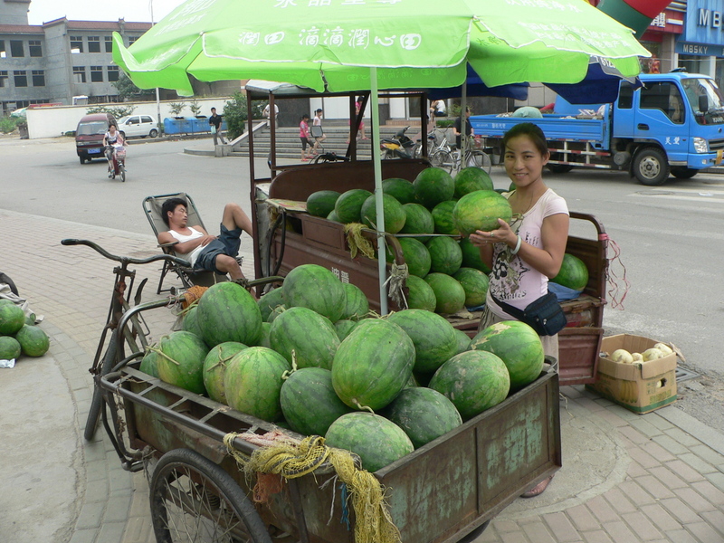 Ah Feng selecting a watermelon in Tài'ān