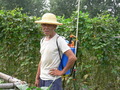 #6: Farmer wearing a poison-spraying backpack