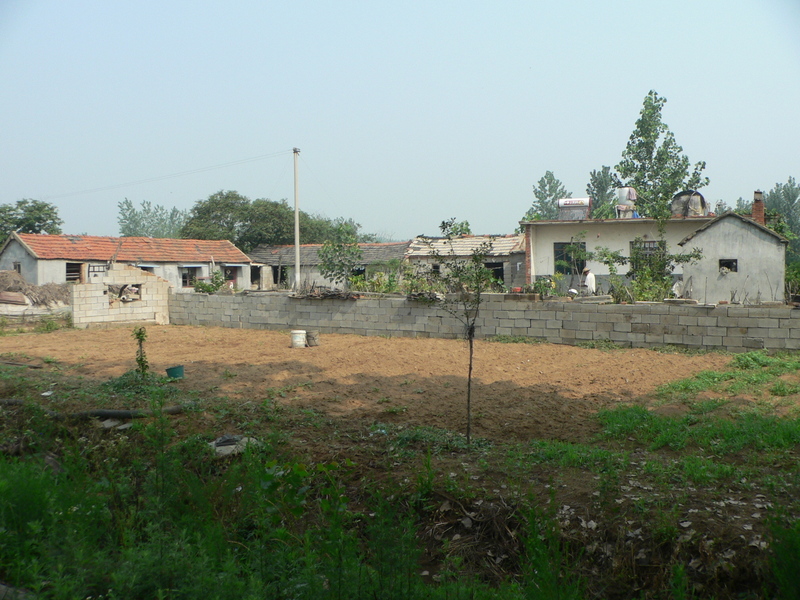 Group of houses just north of the confluence