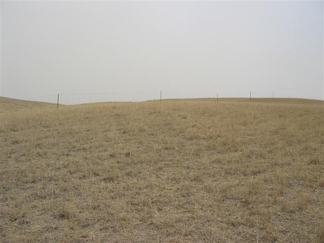 East View