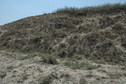 #3: South