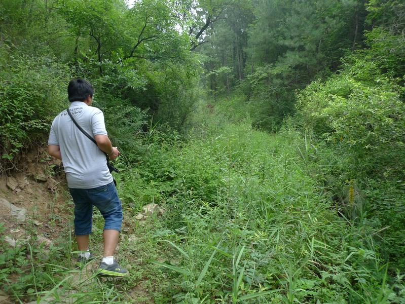 path in the beginning of our walk