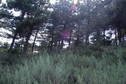#9: Facing west, into the afternoon sun
