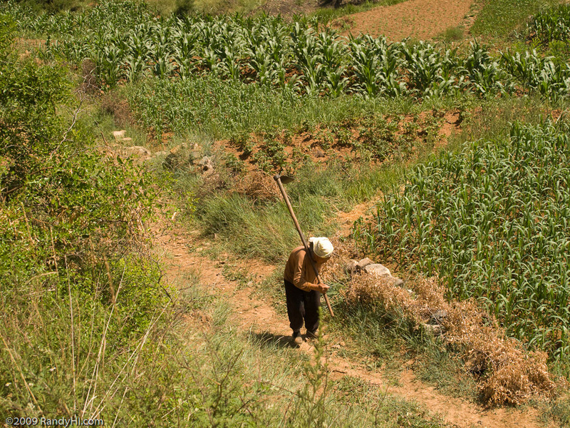 We met this senior citizen while looking for an easy farm trail to use to return from the confluence