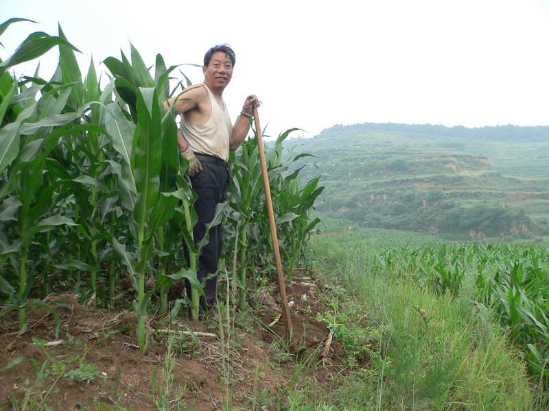 Farmer in cornfield near confluence