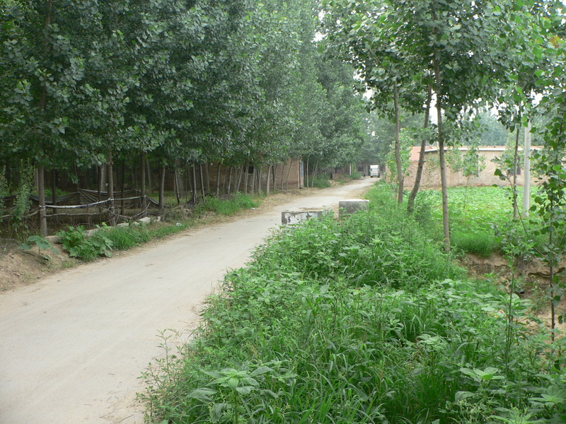 Looking north; note the position of the roadblock compared to the previous visit