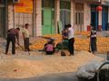 #9: Processing the corn in nearby Ma Zhong Township