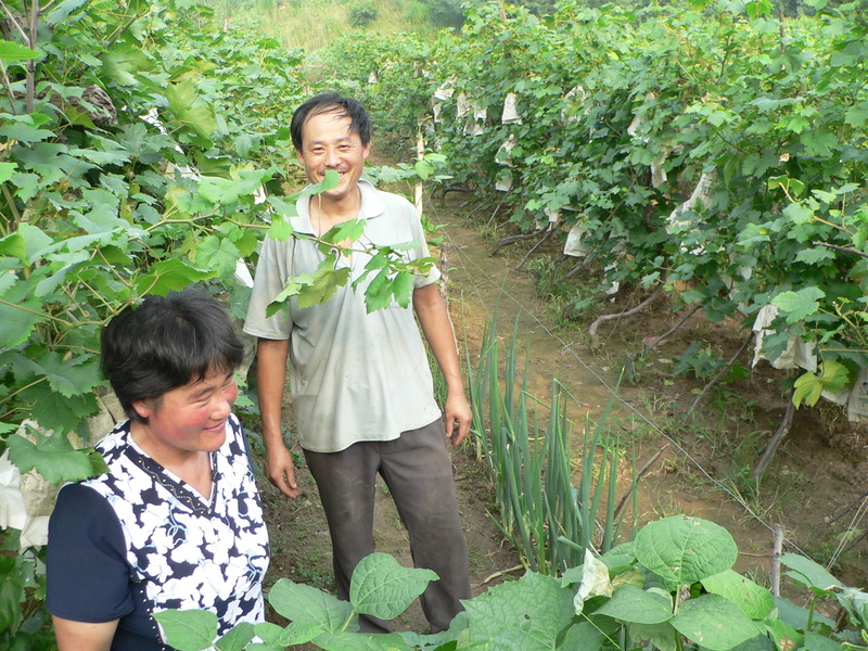 Mr Li and his wife in the vineyard, with the confluence just to the right of Mr Li