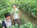 #8: Mr Li and his wife in the vineyard, with the confluence just to the right of Mr Li