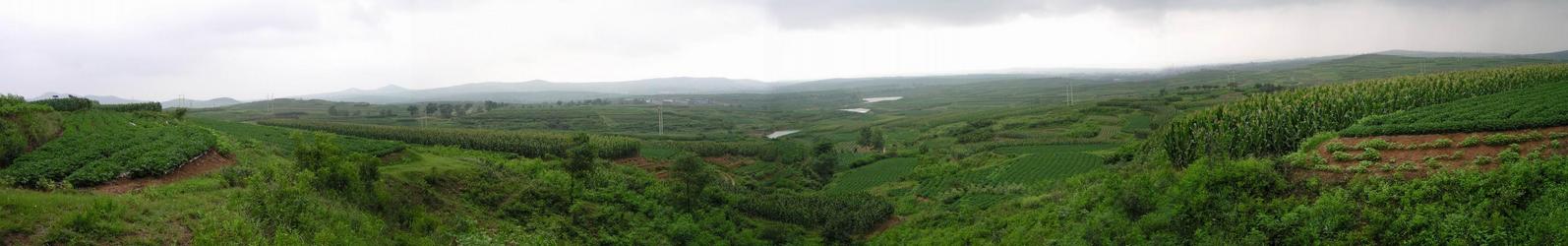 Panorama from the confluence point, looking northerly