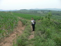 #3: Ah Feng next to the confluence, in the uncultivated land on the right