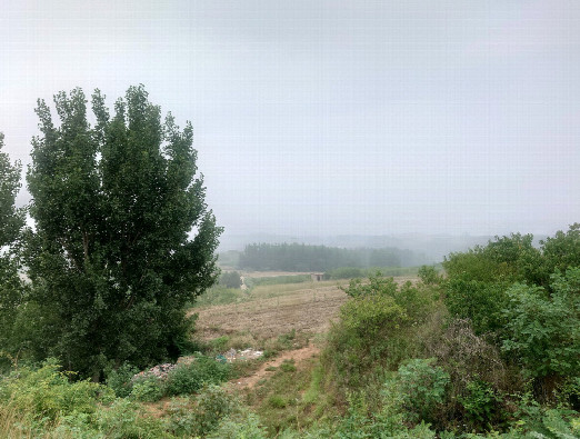 #1: Viewing the Confluence from a distance of 20 meters