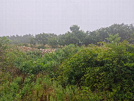 #3: View to the South